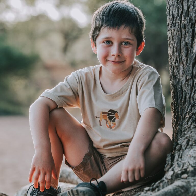 Stone Lion <br>T-Shirt Stone Lion African Wildlife T-Shirt