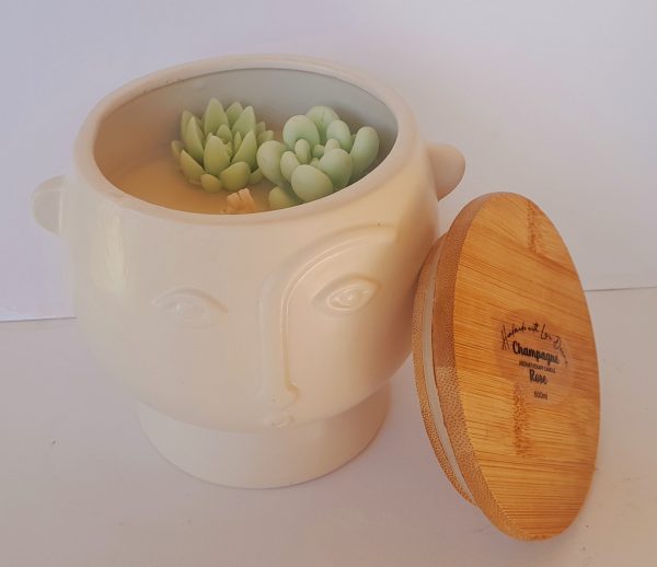 Soy Coconut Wax Face Candle 600ml-succulents