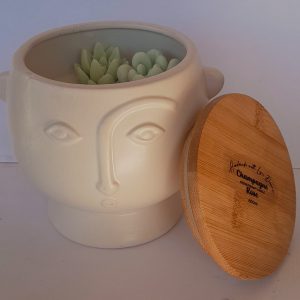 Soy Coconut Wax Face Candle 600ml-succulents