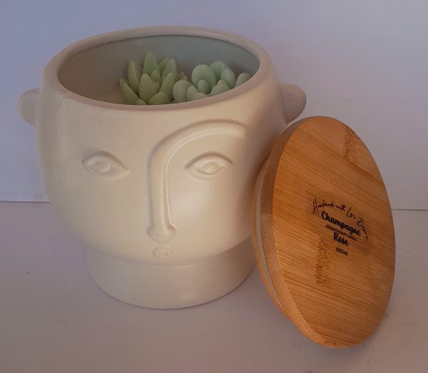 Soy Coconut Wax Face Candle 600ml-succulents