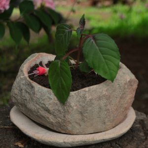 Unique Unisex gifts - Unity