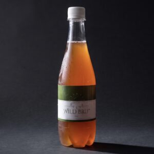 Mint Kombucha